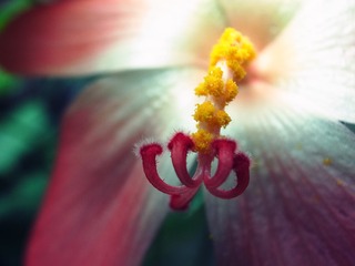 R0010892