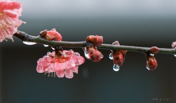 78D3487A-3BD0-4B0C-B685-E538FEF641AC/L0/001