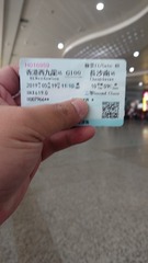 446384
