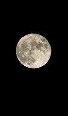 26744648-C0D2-474B-B52D-1107E71DC67E/L0/001