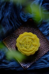 E89C276D-7A59-4A9D-B062-B3BB01555413/L0/001