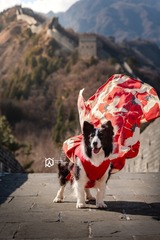 长城