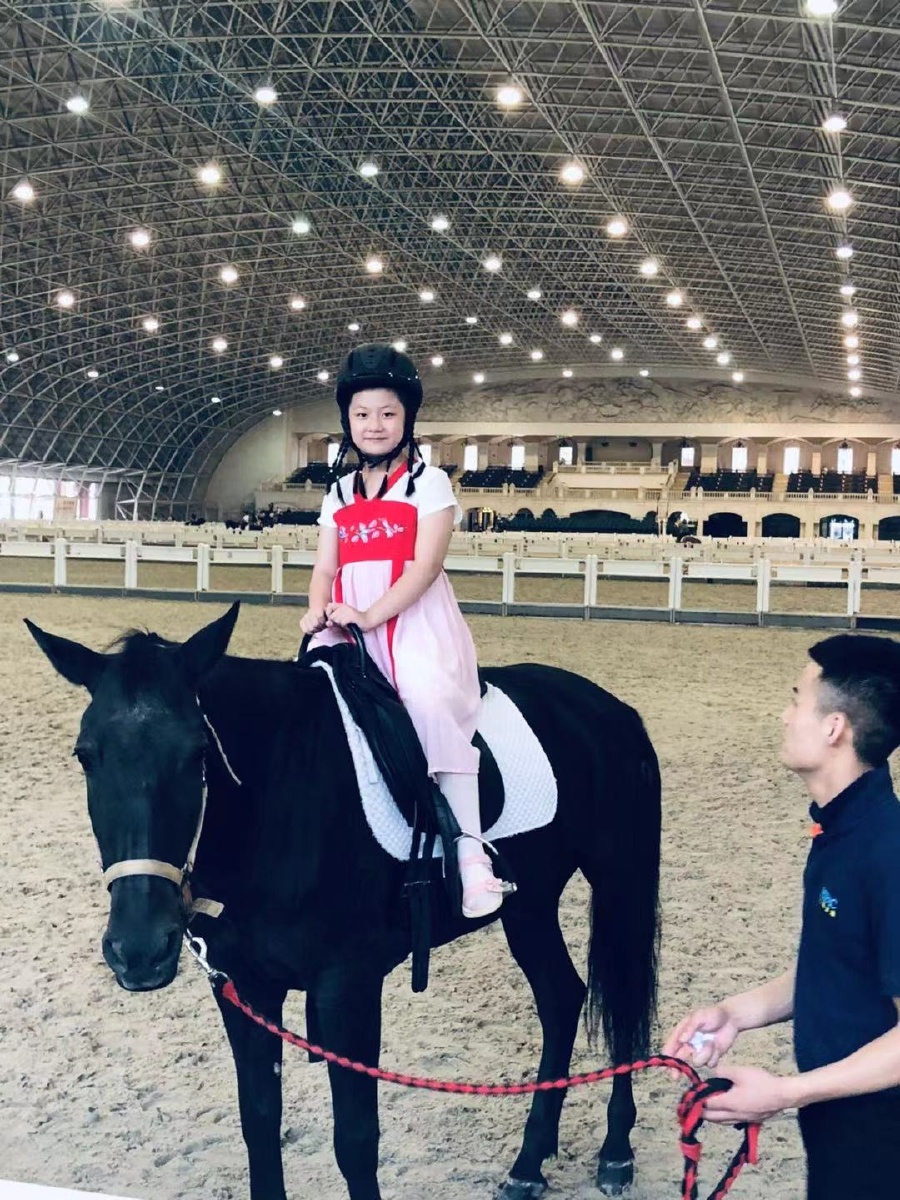 马术比赛对马有什么要求