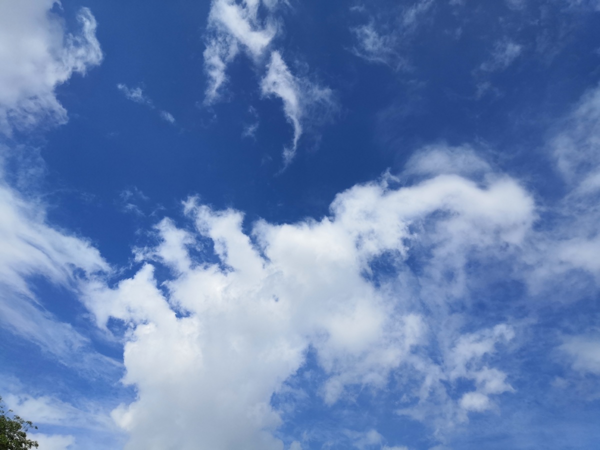 广州的蓝天特别蓝