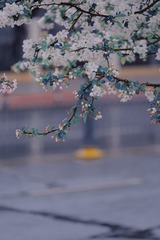 BDF993E3-1B0D-4620-BC9A-AE843425820B/L0/001
