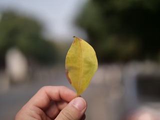 784217