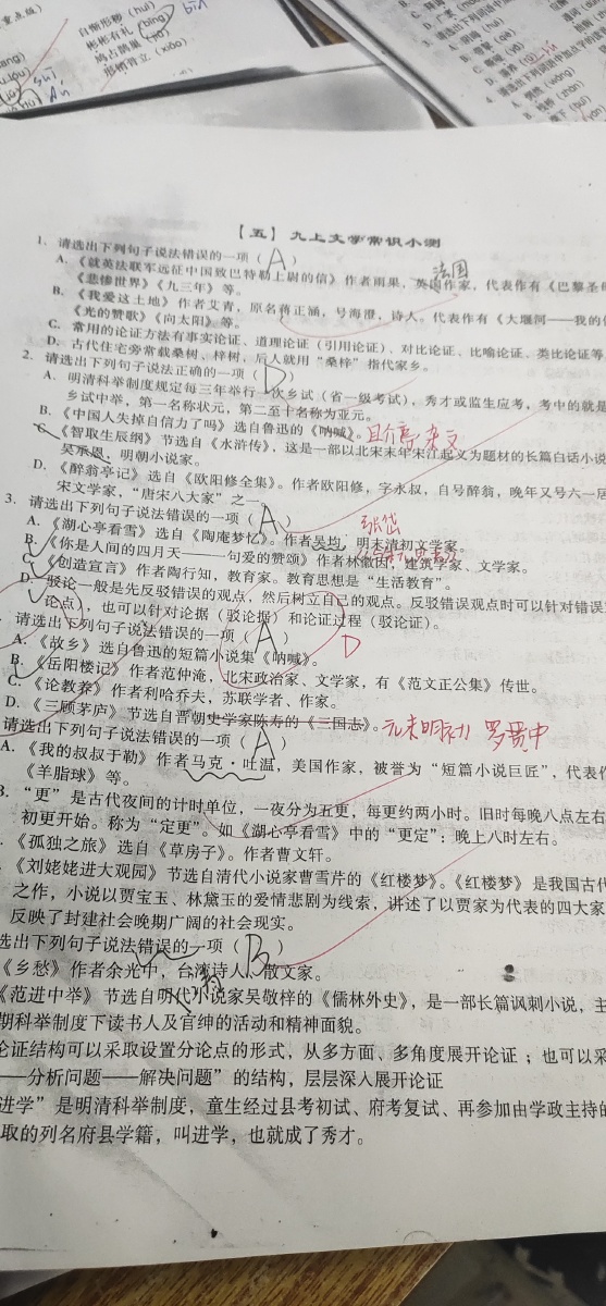 典型材料题目,王冕阅读(阅读理解）