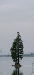 4BFE8960-E565-4BF5-BA46-90401987900D/L0/001