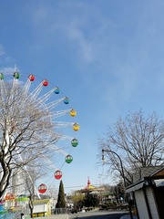 590