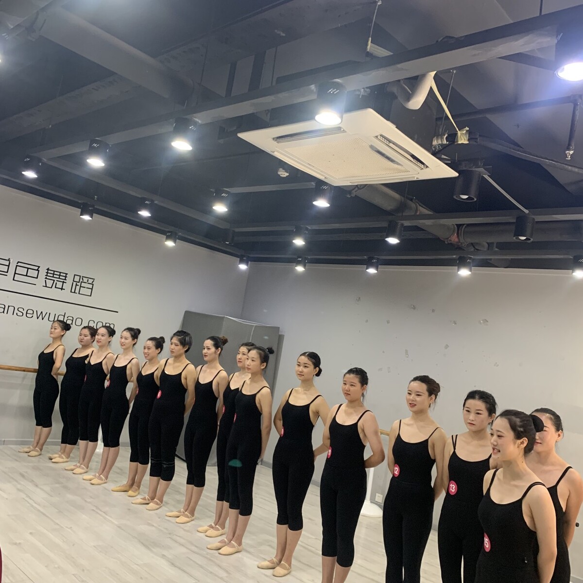 山东舞蹈家协会官网
