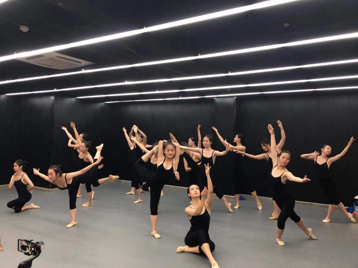 中国舞蹈教学网官网