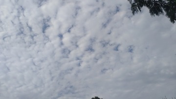 1078677