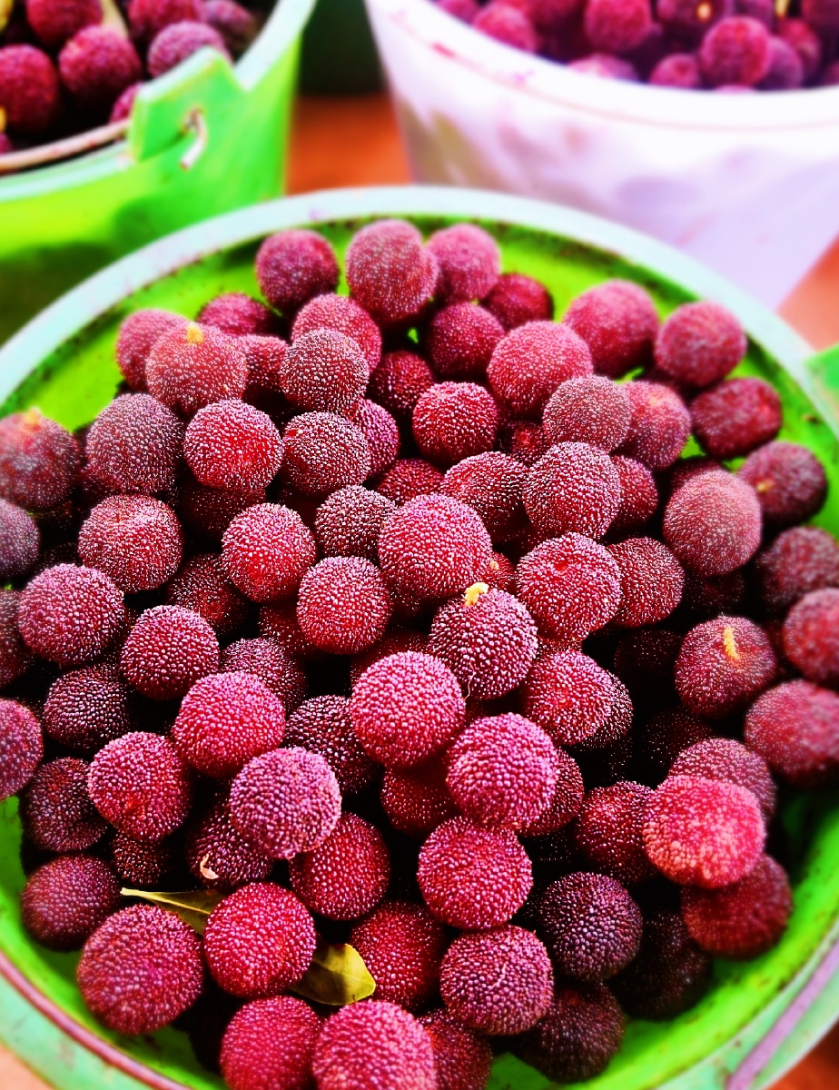 杨梅图气了一天