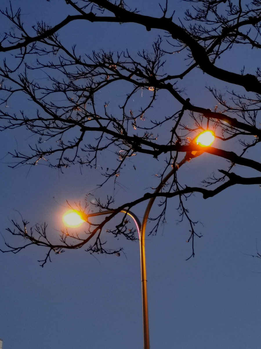 黄昏时,路过那个好看的十字路口