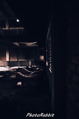 1867124