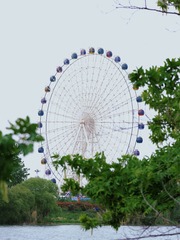 53A2AC6B-B6CE-41EB-9205-62F23C47E42F/L0/001