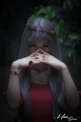 DSC09005-2
