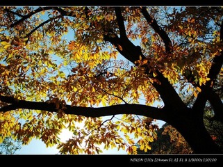 DSC_1027_r.jpg