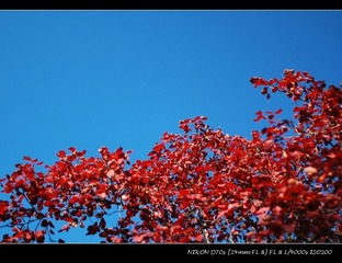 DSC_1075_r.jpg
