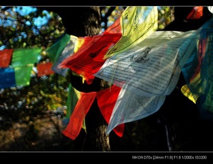 DSC_1142_r.jpg