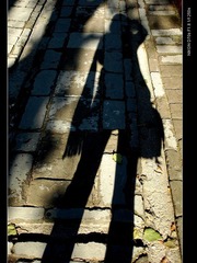 DSC_1062_r.jpg