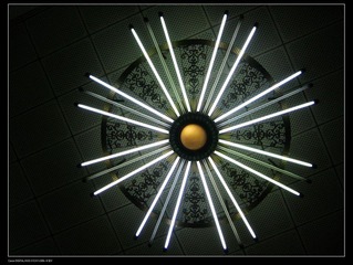 IMG_3186.jpg