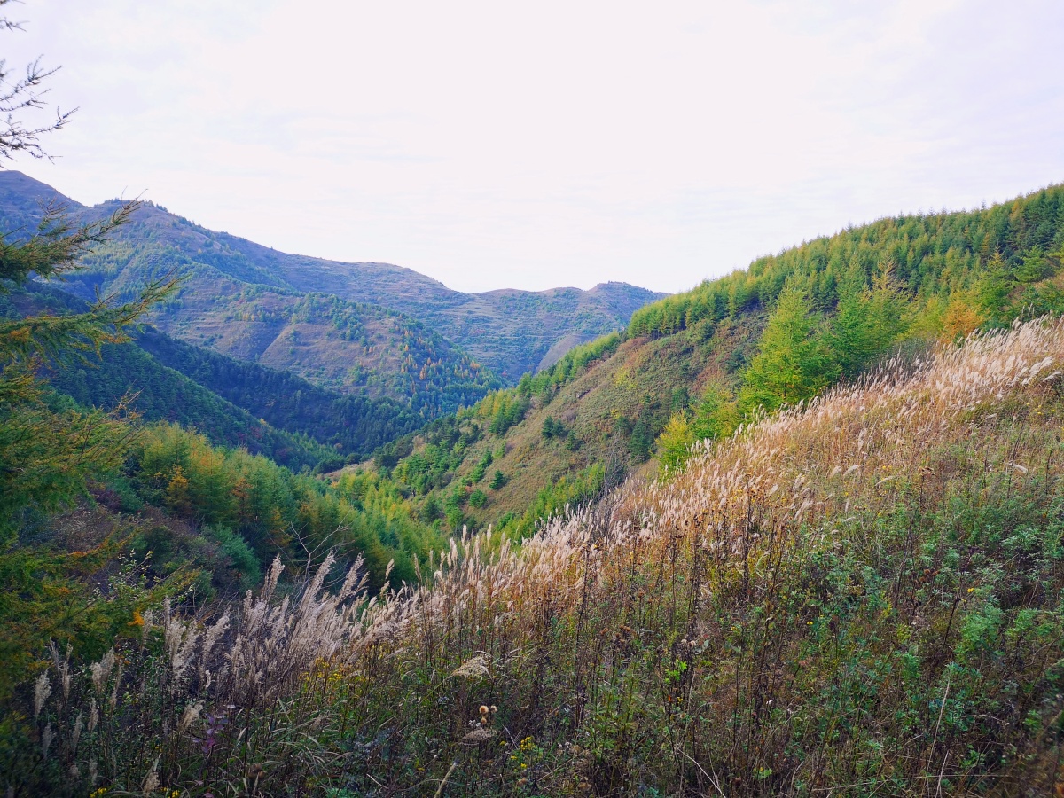 秋色迷人的小山岗让我久久不愿离去当你看见好景色请驻驻足留下美丽的