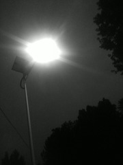 1030091