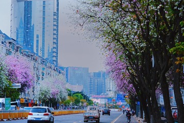 D8593CE6-3A50-4A14-9286-41BDB7758FE7/L0/001