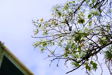 23ED8E03-9032-444F-B731-D53E80078F2B/L0/001