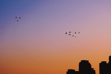 937C2606-C3B6-43CD-8870-892620F9C8CE/L0/001