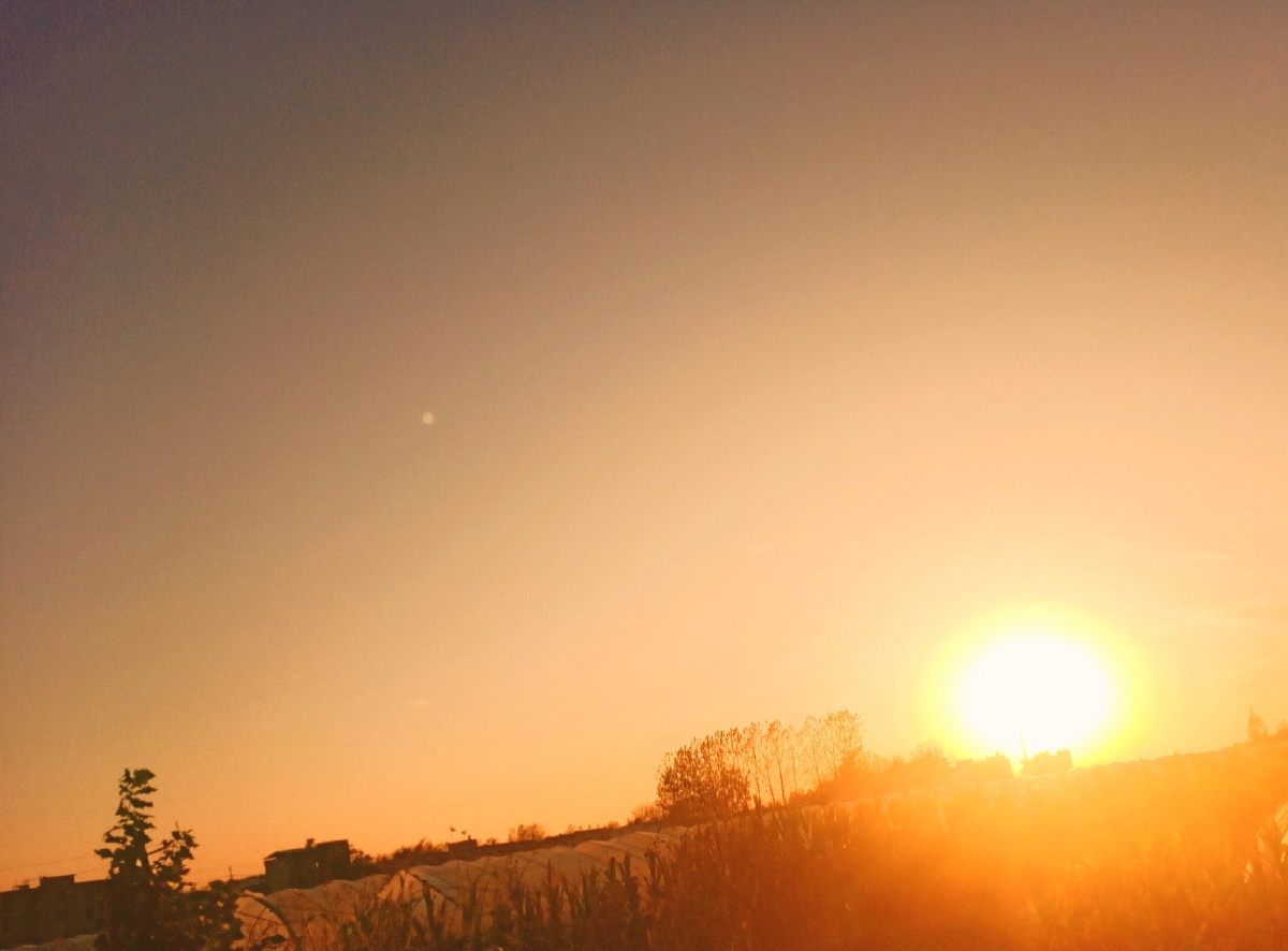 希望晚风,可以……吹来更多秋天的好消息!