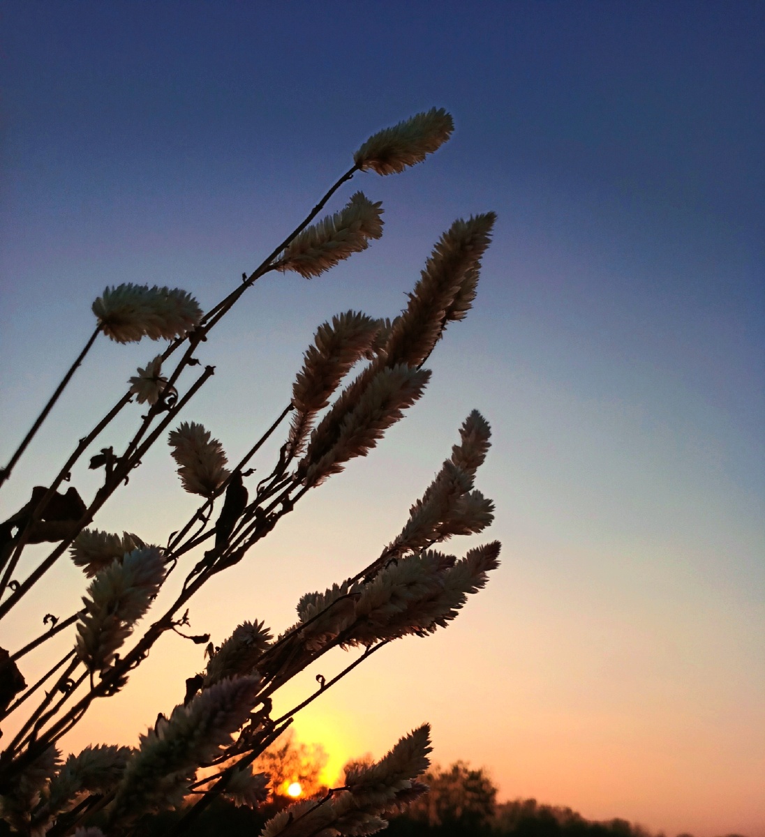 希望晚风,可以……吹来更多秋天的好消息!