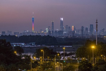 23005