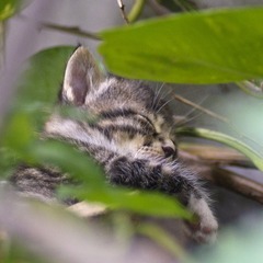 _DSC0002
