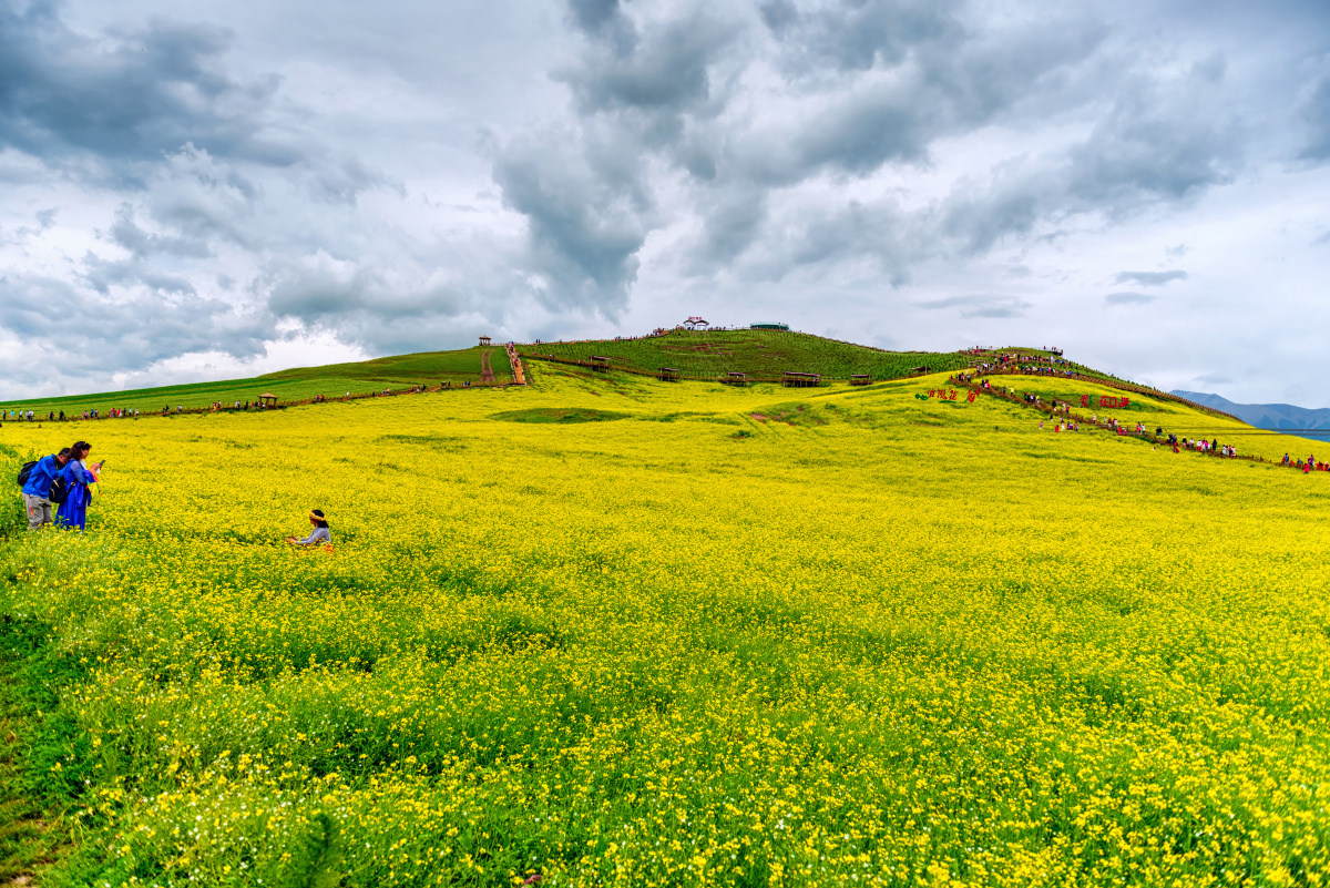 花海映衬,云朵为伴,感受天地之壮观,自然之美.秋水长天关注
