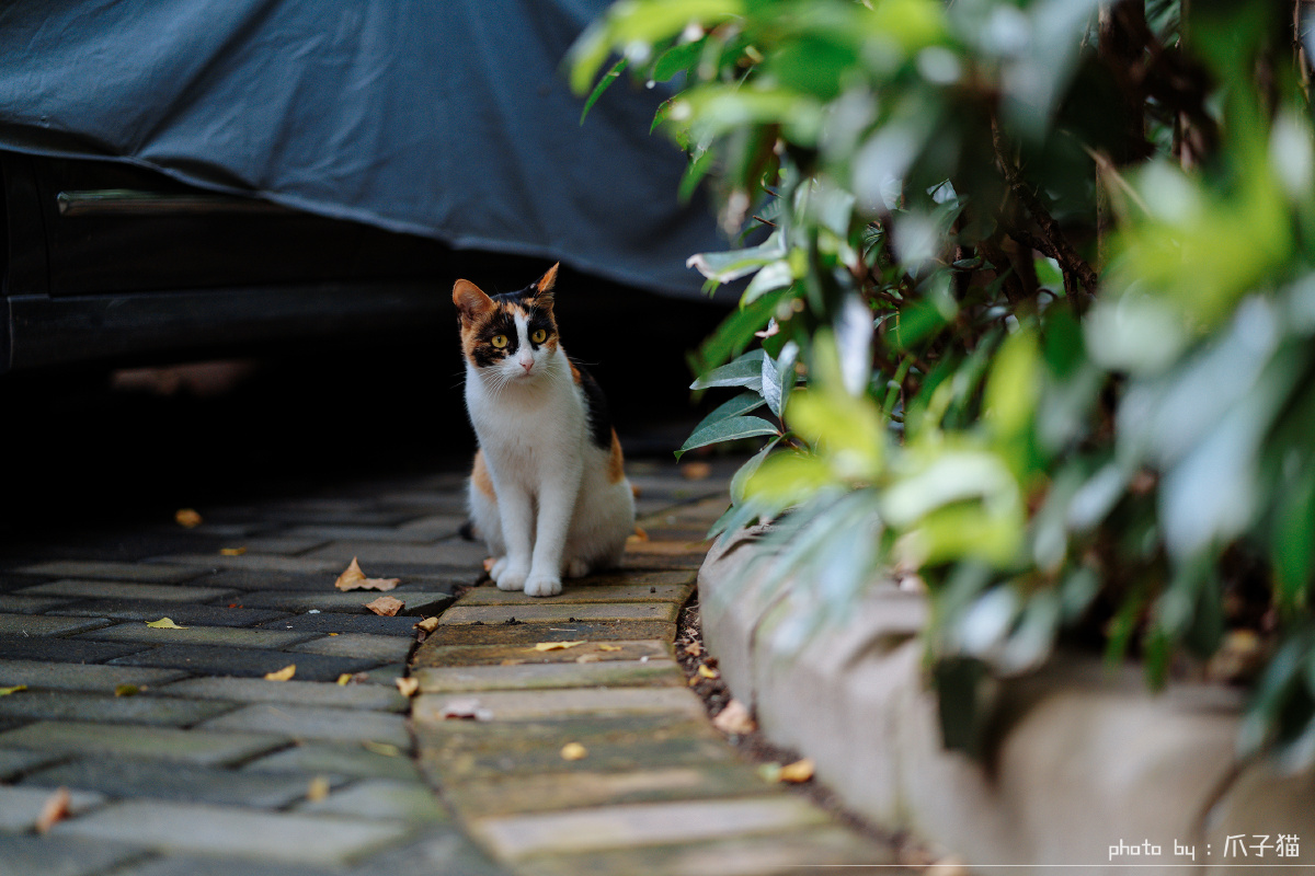 有点怕人,躲得远远的