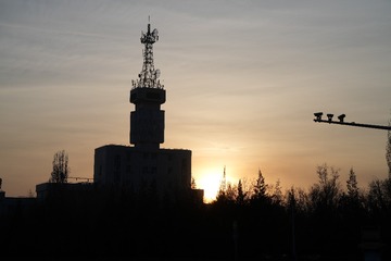 1445231