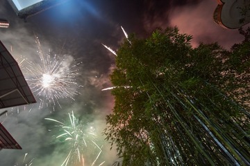 _DSC2441
