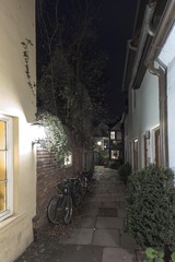 PAN_7542