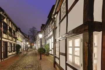 PAN_7542