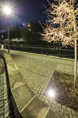 PAN_7443
