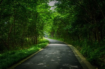 PAN_8090