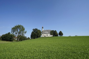 _DSC2961