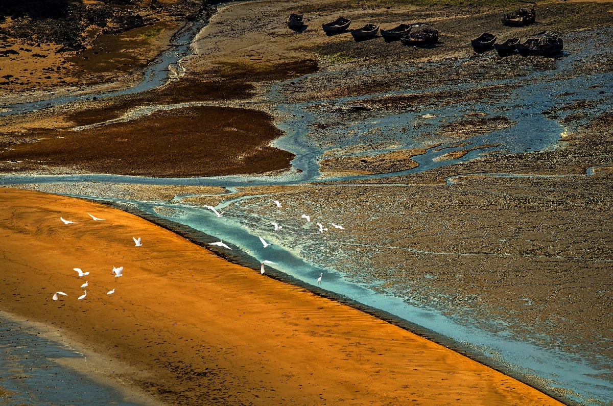 小米画报摄影大赛