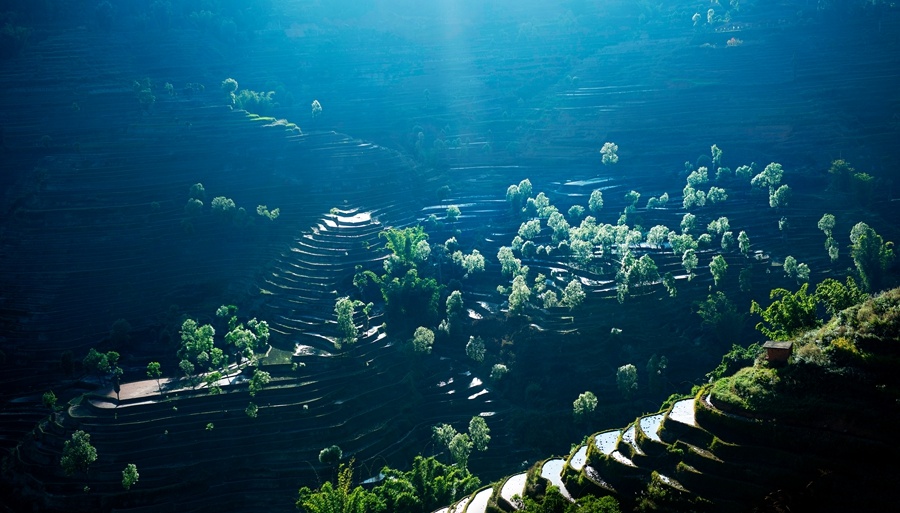 小米画报摄影大赛