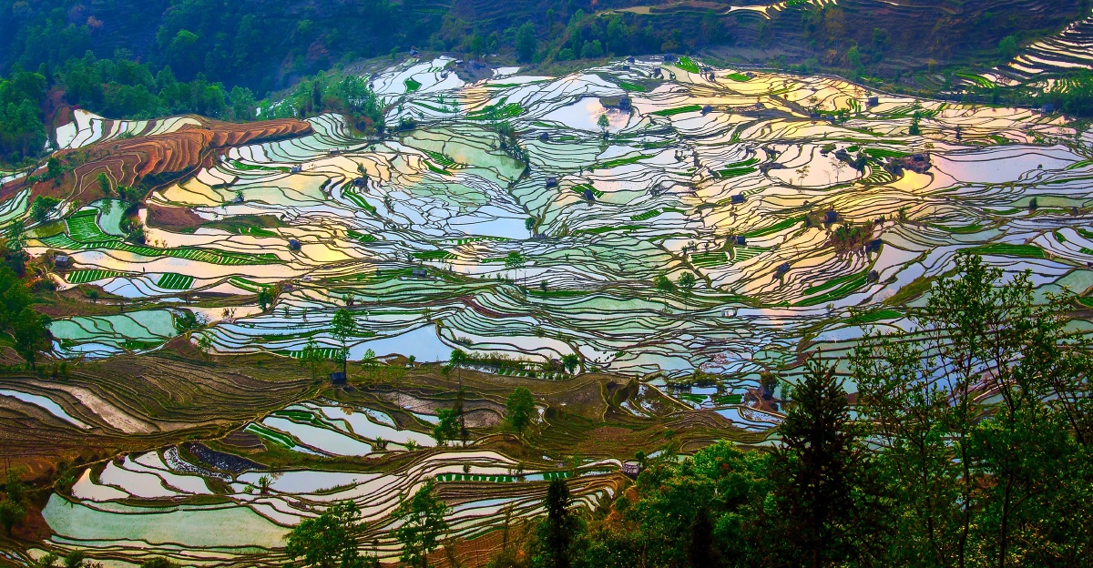 小米画报摄影大赛