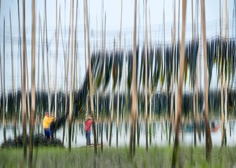 _DSC4292