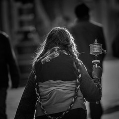 _DSC1557