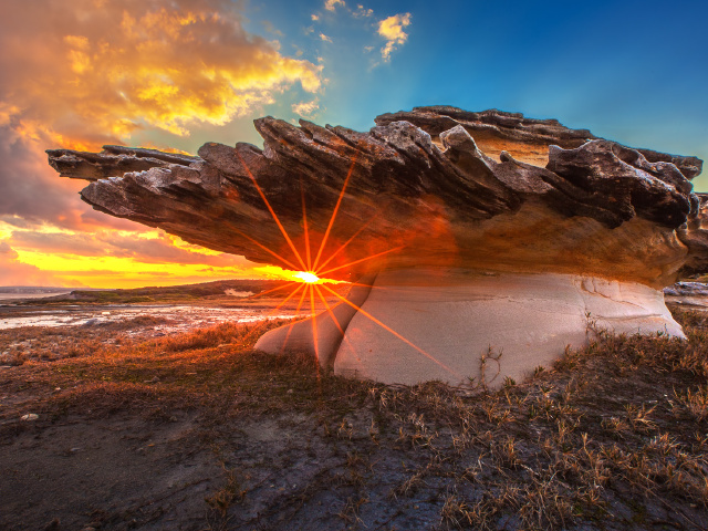 dnf老版本逸龙剑抉择外观,乔巴害羞图片,我的堂